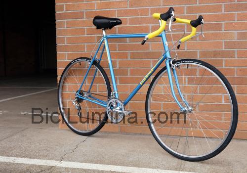 Schwinn Traveler ficha técnica y opiniones
